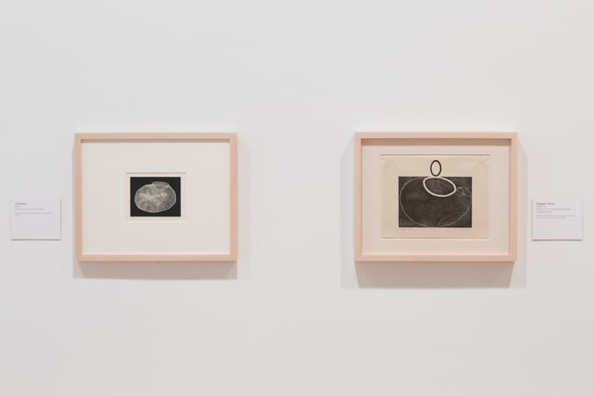 17aaa4c2-b817-4295-9670-c7721da2e875