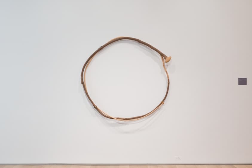 18229d29-d40f-c6b8-a6da-fc9c99d5de6e