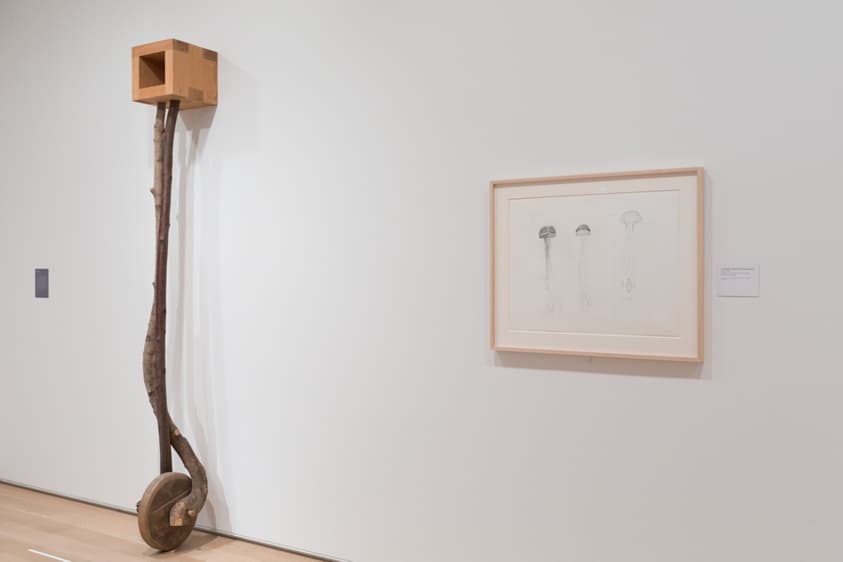 41896c19-1f56-9bca-cced-ab7820329dab