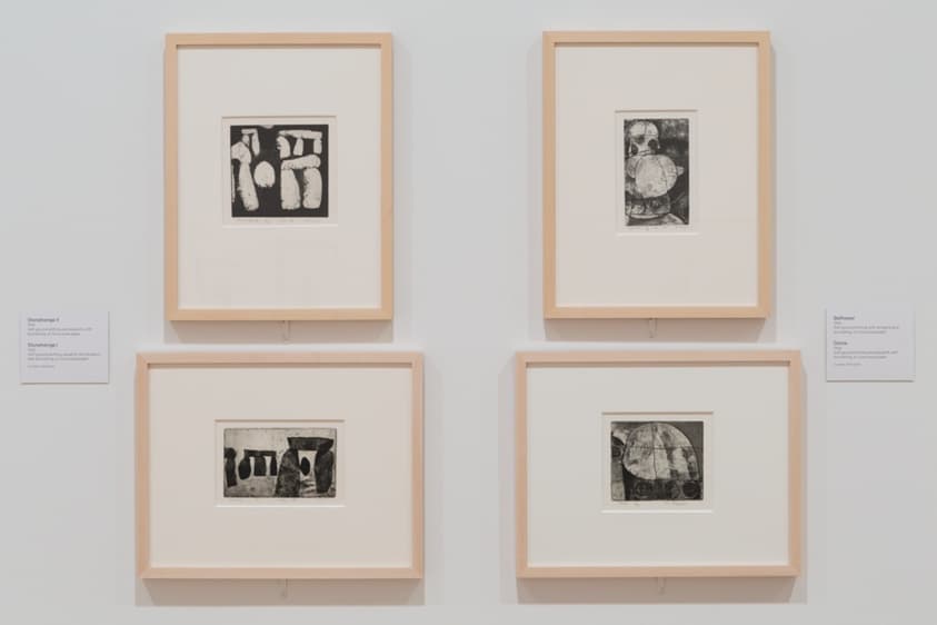 8fb5499e-8c53-ce59-c904-6e76e775d0fa