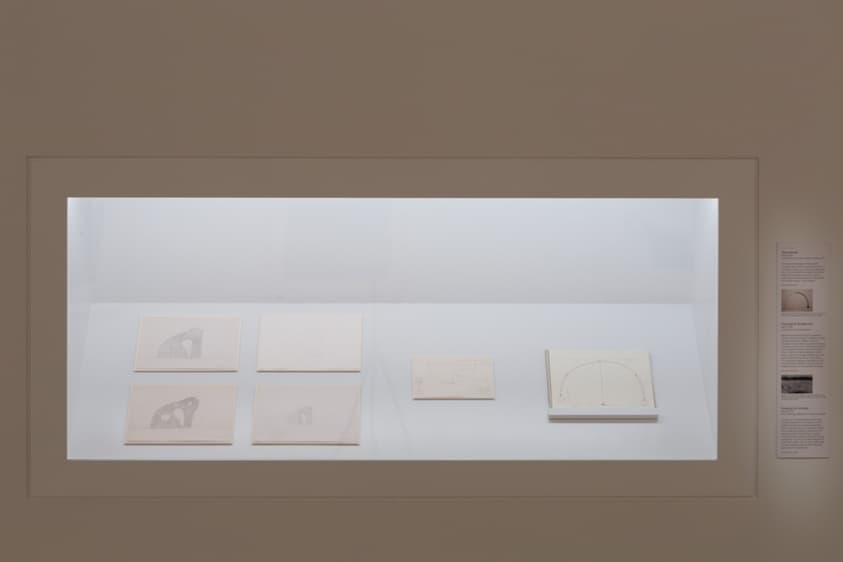 a9f8fc2e-0278-8957-d07c-e120765e8914